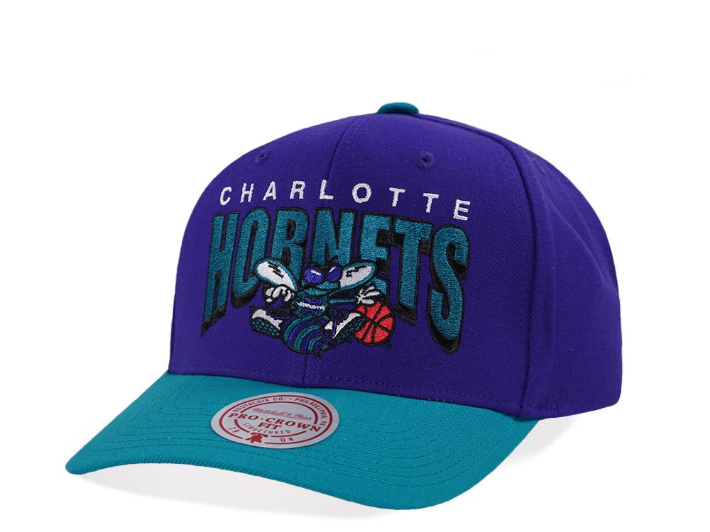 Mitchell & Ness Charlotte Hornets Hardwood Classic Pro Crown Fit Purple Snapback Casquette